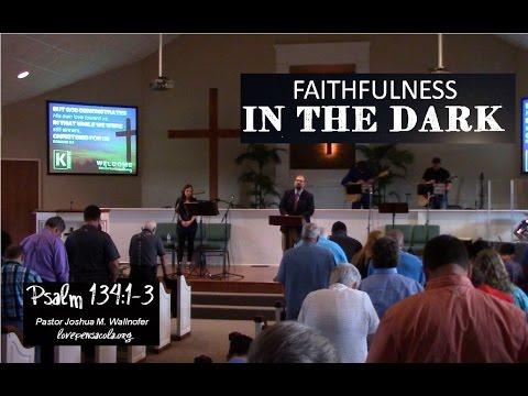"Faithulness In The Dark" (Psalm 134:1-3) by Joshua M. Wallnofer