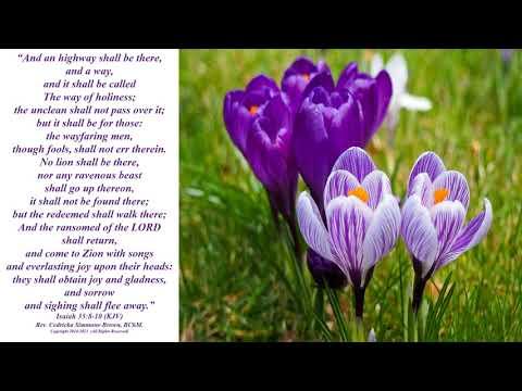 Holiness Isaiah 35:8-10 Rev. Cedricka Simmons-Brown