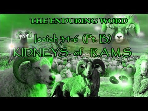 KIDNEYS OF RAMS - Isaiah 34:6 (Pt. B)