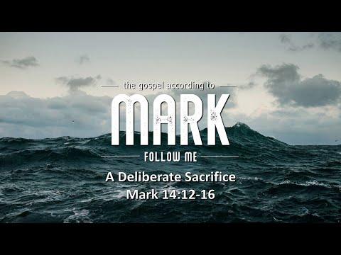Mark 14:12-16: "A Deliberate Sacrifice"