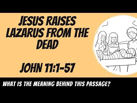 Jesus Raises Lazarus From the Dead (John 11:1-57) Explained