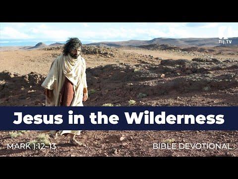 4. Jesus in the Wilderness - Mark 1:12–13 - The Incredi[B]ible Journey