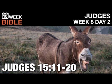 Samson Kills 1,000 Philistines with a Donkey Jawbone | Judges 15:11-20 | Week 8 Day 2