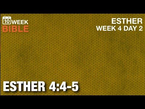 What’s Wrong with Mordecai? | Esther 4:4-5 | Week 4 Day 2 Study of Esther