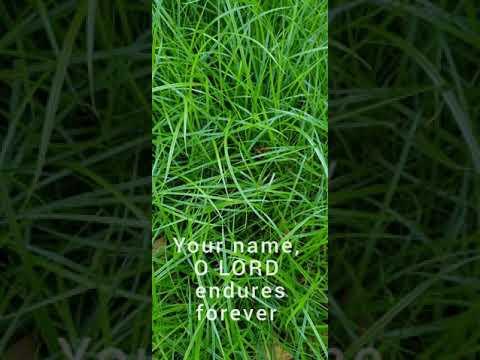 Psalm 135:13(Your name, O LORD endures forever...)