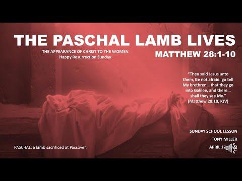 SUNDAY SCHOOL LESSON,  APRIL 17, 2022, The Paschal Lamb Lives, MATTHEW 28: 1-10