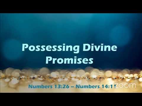 Possessing Divine Promises- Numbers 13:26 – 14:11 (Bishop Okey Ugwu)