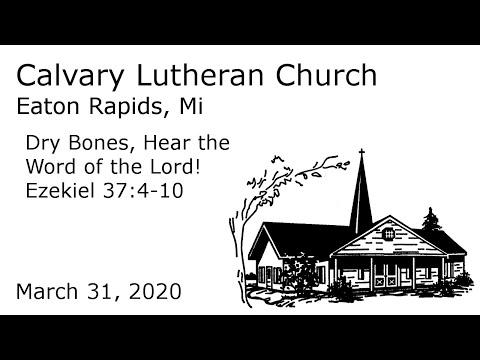 Daily Devotion - Ezekiel 37:4-10 | Calvary Lutheran Eaton Rapids