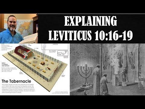 Explaining Leviticus 10:16-19