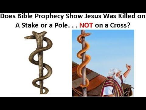 Does Bible Prophecy Show Jesus Was Killed on a Stake or a Pole. . . NOT on a Cross?—Numbers 21:8-9