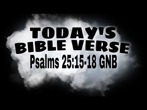 TODAY'S BIBLE VERSE I Psalms 25:15-18 GNB I BIBLE VERSE I BIBLE TV I Bible Tv