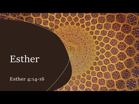 Esther; Esther 4:14-16.  By Jared Rhodes.  9-25-2022 PM Service.