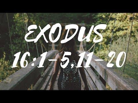Exodus 16:1-5, 11-20