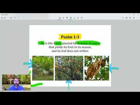 Online Bible Study - Psalm 1:3-4