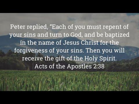 Bible Study, Acts 2:32-47