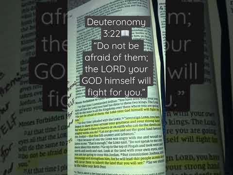 Deuteronomy 3:22 ???? Do not be afraid❤️????