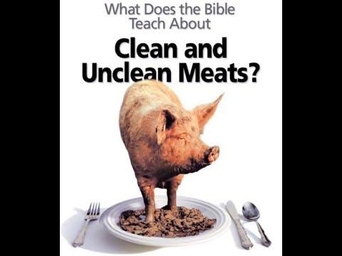 Genesis 9:3 Clean and Unclean Foods