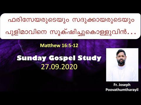 Sunday Gospel Study: Matthew 16:5-12 | 27 September 2020 | Fr. Joseph Poovathumtharayil