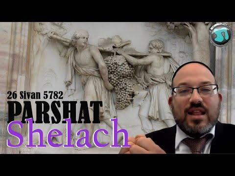 1405 - Parshat Shelach - Numbers 13:1 - 15:41 with Rabbi Rafi Mollot