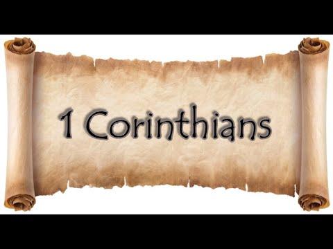 1 Corinthians 15:39 to 15:58 Verse by Verse Bible Study