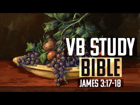 James 3:17-18 | The Video Bible Study Bible
