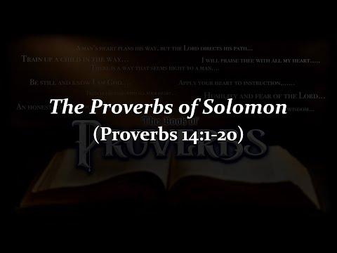 Proverbs 14:1-20  2/9/22