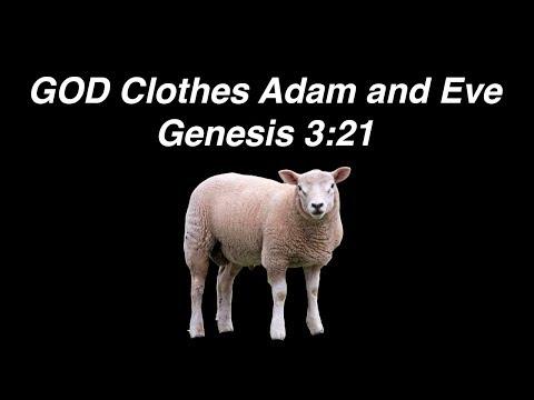 God makes coverings for Adam and Eve | Genesis 3:21 (Hebrew Text Study)