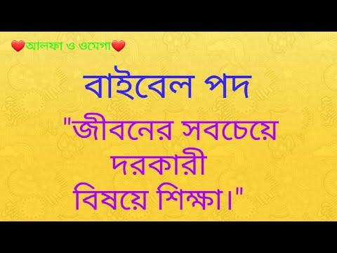 Lessons on the most important things in life | Matthew 6: 19-34 | Bible Verse Bangla Tutorial 2021.