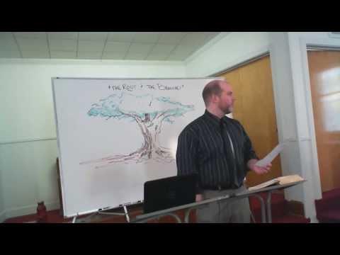 Romans 11:16-18 Olive Trees and Broken Branches