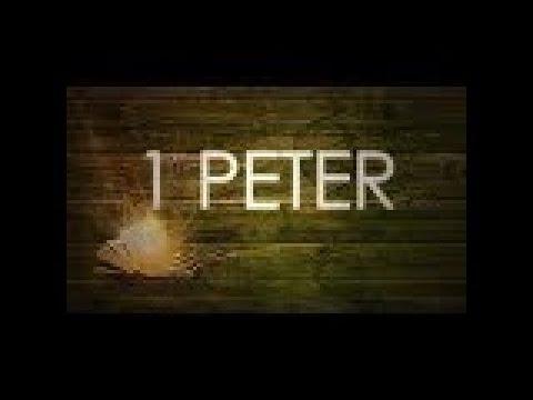 1 Peter 2:11,12