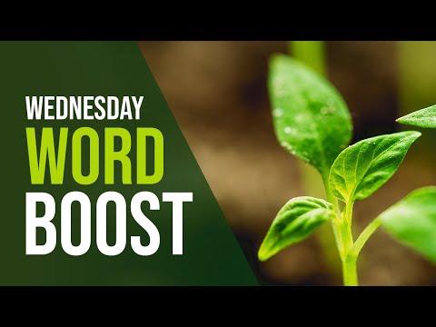 "How Should We Respond to Uncertainty?" - Wednesday Word Boost - Luke 7:18-20