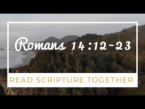 Read Scripture Together | Romans 14:12-23