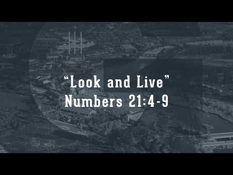 Look and Live Numbers 21:4-9