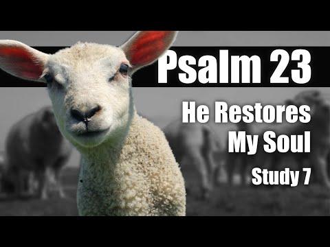 07 Psalm 23:3 Restores my soul. Pt 1