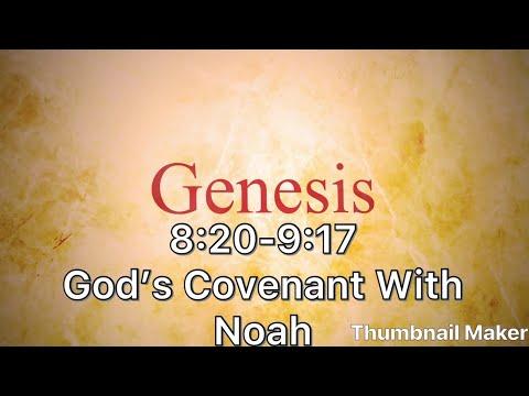 Genesis 8:20-9:17 God's Covenant with Noah