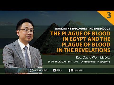 The Plague of Blood in Egypt and the Plague of Blood in the Revelations | Exodus 7:14-25