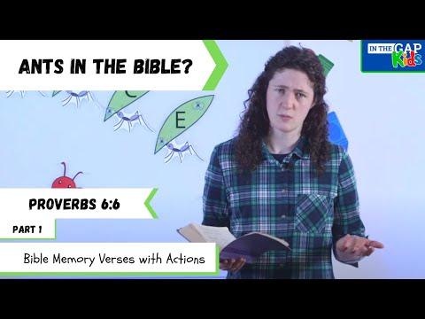 Proverbs 6:6 | Bible Verses to Memorize for Kids with Actions | Diligence (Week 1)