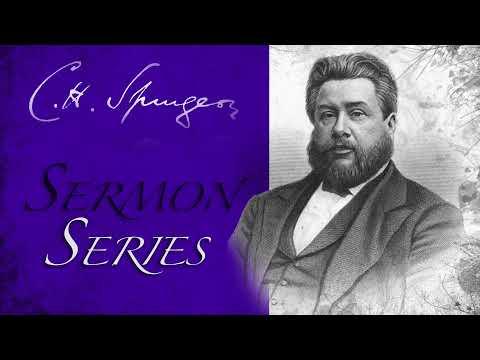 Consolation for the Despairing (Psalm 31:22) - C.H. Spurgeon Sermon