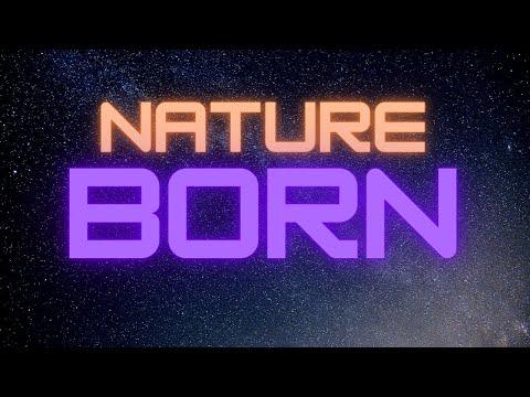 22-0213- ETTT | "Nature Born" - Job 38 : 3 - 13