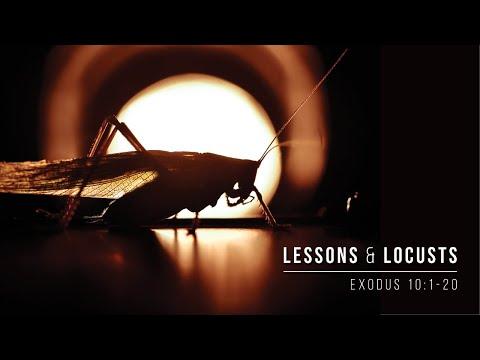 Lessons & Locusts  // Exodus 10:1-20