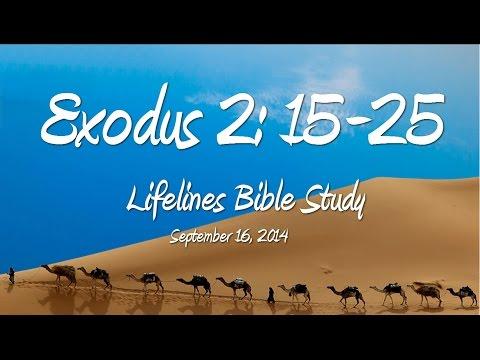 Exodus 2:15-25 Bible Study