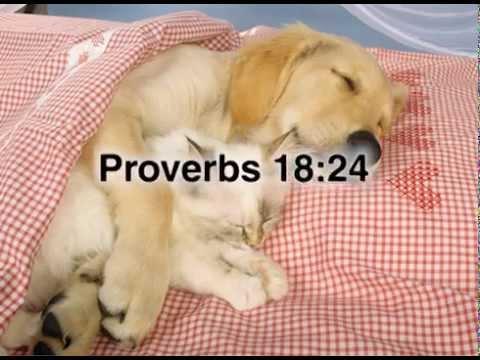 Proverbs 18:24