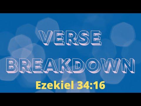Ezekiel 34:16 - Verse Breakdown #120 | Ewaenruwa Nomaren