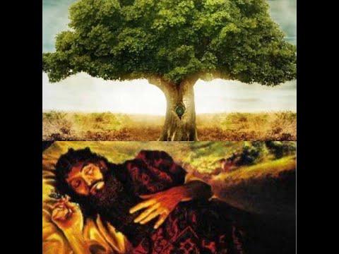 Daniel 4:1-18 - Nebuchadnezzar’s Dream About a Tree