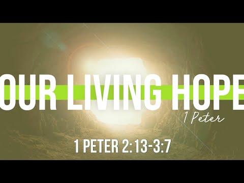 All-Church Bible Study: 1 Peter 2:13-3:7