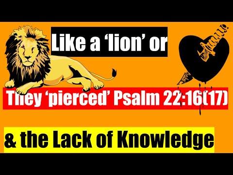 The Crucifixion Psalm, Psalms 22:17 (16) is it 'like a lion'  or 'they pierced?' Rabbi Singer Rebuke