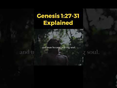Genesis 1:27-31 Explained