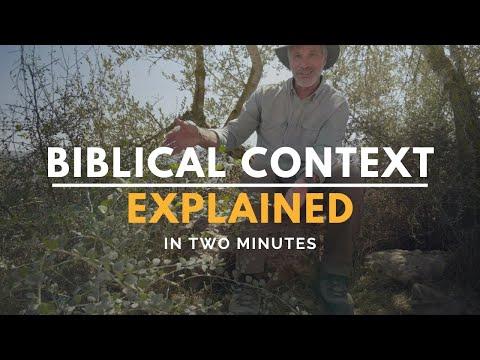 Psalm 51:7 & The Hyssop Plant | Biblical Context Explained