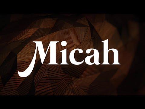 Hard Hearts and Soft Preaching (Micah 2:1-11)