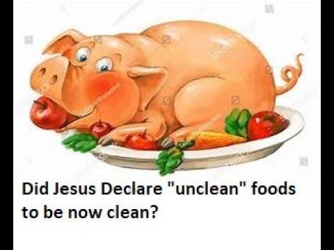 Mark 7:18-19 Explained  - Jesus declared all foods clean (in the NIV)